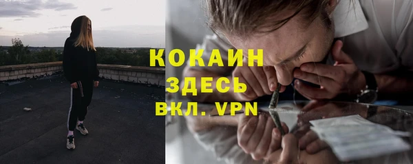 твердый Алзамай