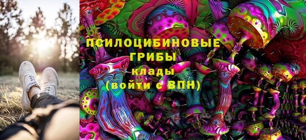 2c-b Алексин