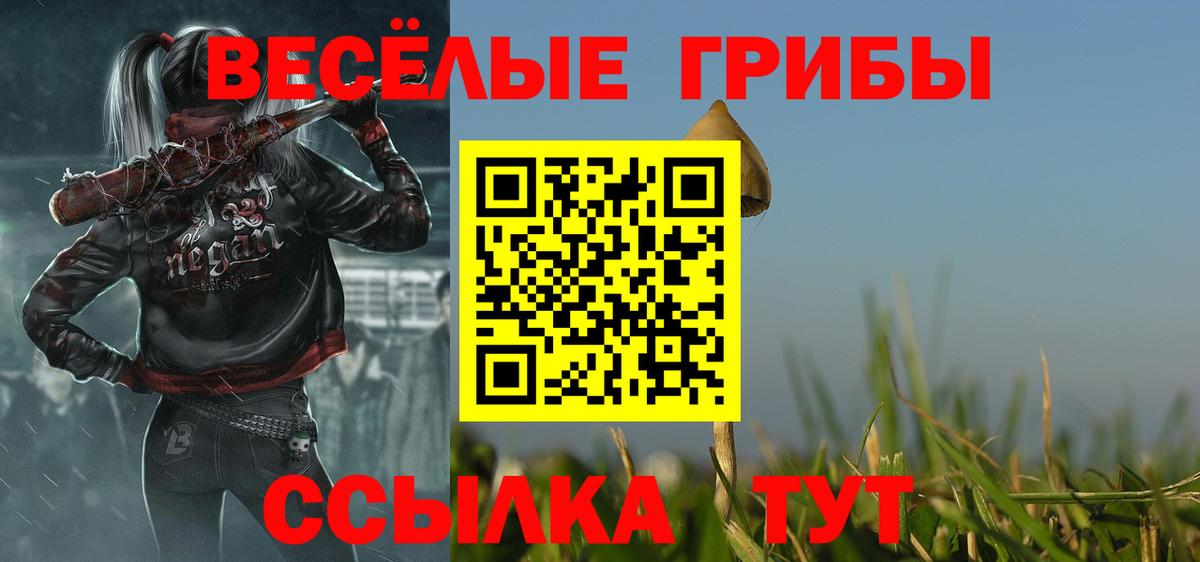 Галлюциногенные грибы Psilocybine cubensis  Галлюциногенные грибы мицелий  Вход с VPN  Одинцово 